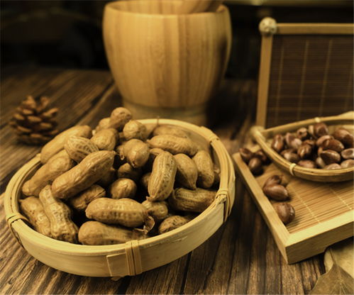 四川匠心蜀味餐飲管理 以創新與傳承引領酒店餐飲新潮流